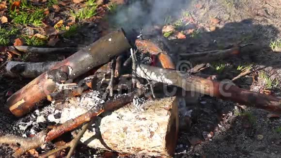 森林营火火关起来视频的预览图