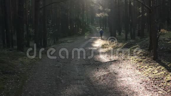 一位老人在针叶林中户外跑步视频的预览图