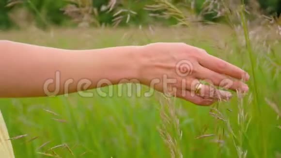 女人的手触摸田野上的青草射击视频的预览图