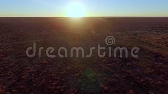 纳米比亚被太阳照亮的热带草原的景色视频的预览图