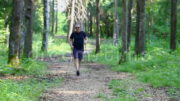 森林里拿着拐杖的徒步旅行者2视频的预览图