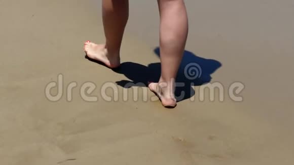 女人在沙滩上踏着海浪视频的预览图