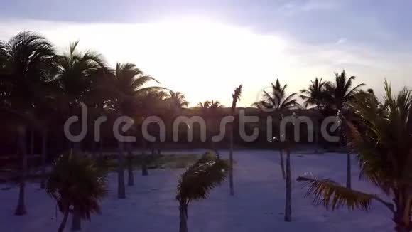 空中无人机射击镜头缓缓飞过椰掌加勒比海沿岸美丽的日落视频的预览图