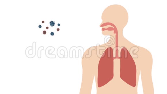 呼吸系统和肺中人电晕病毒或Covid19视频的预览图