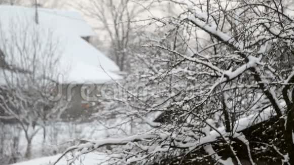 带着树在村子里飘落的雪视频的预览图