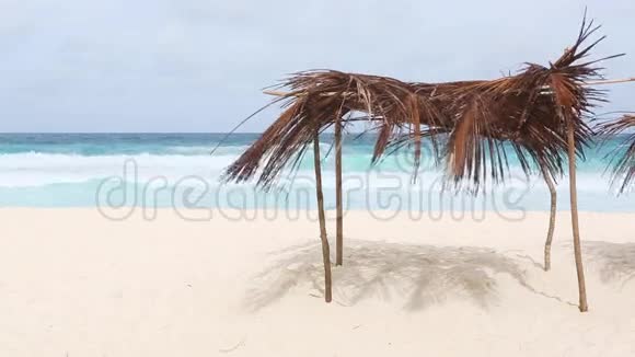 阳光明媚的海滩上的棕榈天窗视频的预览图