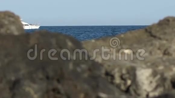 白船看见悬崖视频的预览图