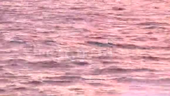 黑山的海浪大片红色日落视频的预览图