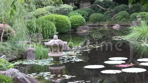 澳大利亚布里斯班库塔山植物园内日本花园的井框池塘视频的预览图