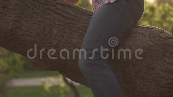 无忧无虑的孩子坐在公园里的树枝上晃着腿小女孩夏天在户外玩aa视频的预览图