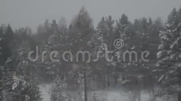 俄罗斯火车窗口视角冬季视频的预览图