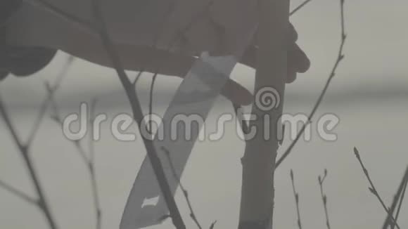 一个人把木板挂在雪树上那人把树上的牌子贴得很近视频的预览图