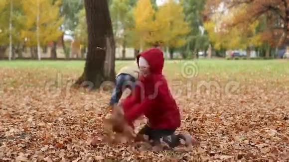 幼儿玩秋天的落叶视频的预览图