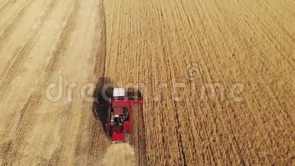 鸟瞰联合收割机收集小麦作物小麦收获剪食品工业领域的组合视频的预览图