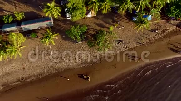 在一个温和的热带岛屿度假海岸上的日出顶部乡村景色视频的预览图