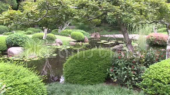 一个正式的日本花园在澳大利亚在布里斯班库塔山植物园视频的预览图