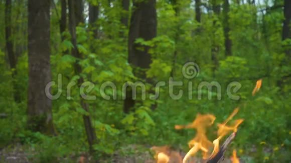 绿色森林背景下的火野火概念慢动作视频的预览图