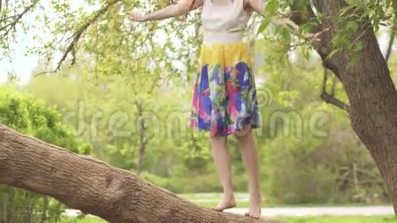 年轻漂亮的女孩爬上一棵树沿着一根宽的树枝走着布吕内特穿着一件明亮的连衣裙玩得很开心视频的预览图