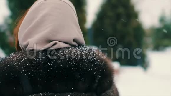 布鲁内特女士走在雪地公园的圣诞树上慢动作视频的预览图