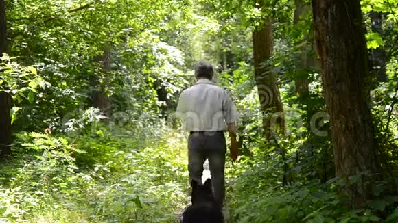 一个带着狗在树林里走的人视频的预览图
