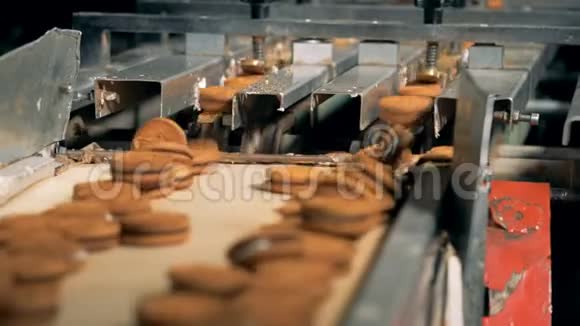 工厂生产双饼干视频的预览图