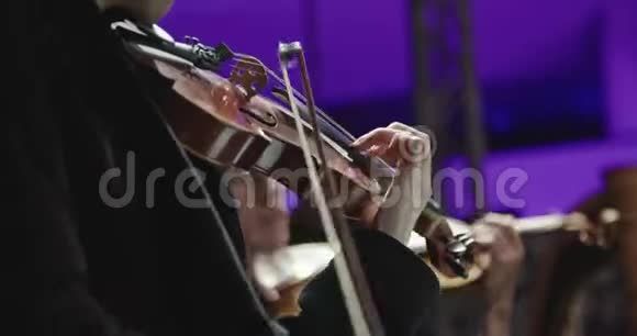 音乐家在音乐会前的古典音乐排练中拉小提琴视频的预览图