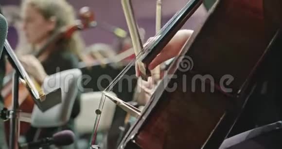 音乐会前古典音乐排练中演奏大提琴的音乐家视频的预览图