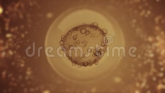 体外受精金显微镜视频的预览图