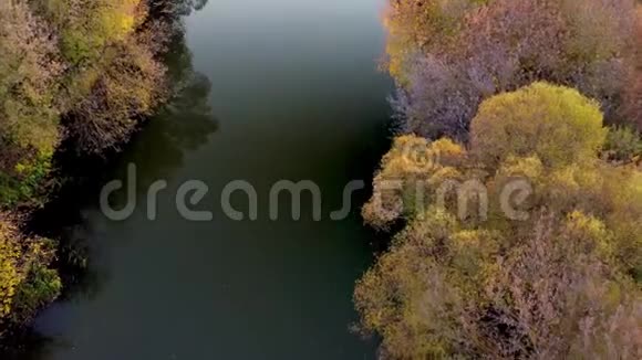 金秋森林中的小河鸟瞰图视频的预览图