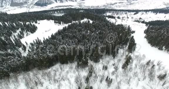 一架无人驾驶飞机在4K山间白雪覆盖的针叶林上缓慢飞行视频的预览图