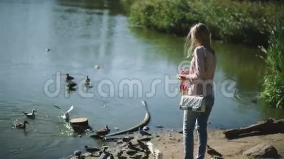 公园里一个女人喂鸟视频的预览图
