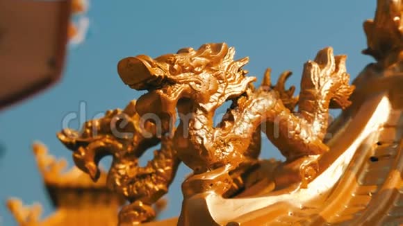 寺庙建筑群中的中国龙的金像中国寺庙的装饰和装饰视频的预览图