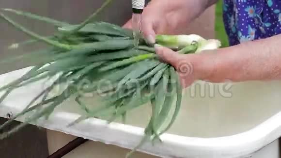 奶奶洗蔬菜视频的预览图