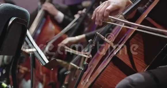 音乐家在音乐会前的古典音乐排练中演奏大提琴视频的预览图