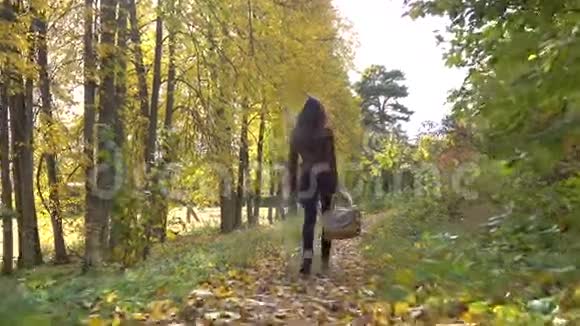 美丽的黑发女孩走在秋天的森林里拿着一个野餐篮4Ksteatam视频视频的预览图