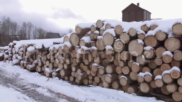 冬天的时候一堆被砍伐的树木被雪覆盖视频的预览图