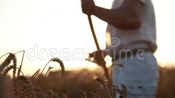 一个人播下一颗金色的小麦视频的预览图