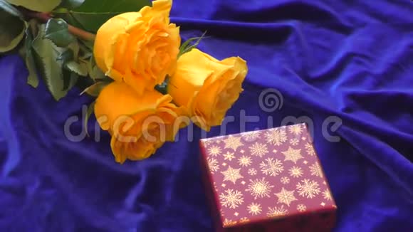 蓝色背景上的黄色玫瑰视频的预览图