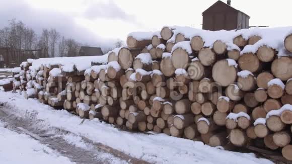 冬天的时候一群被白雪覆盖的树木视频的预览图