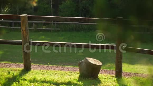 日落时在围场里吃草的马穿过摄像机视频的预览图
