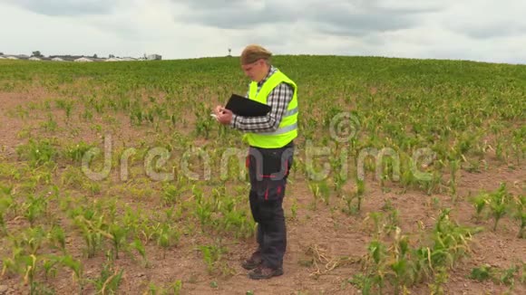 农民检查玉米地视频的预览图
