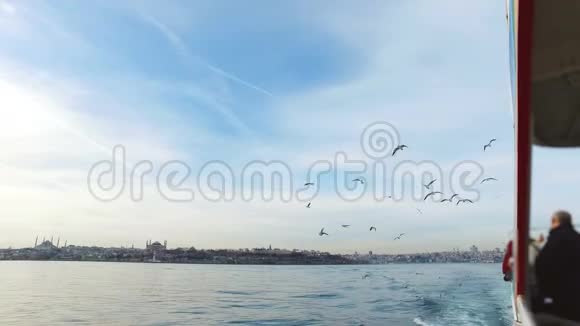 海鸥飞翔伊斯坦布尔萨拉伊本努4k视频的预览图
