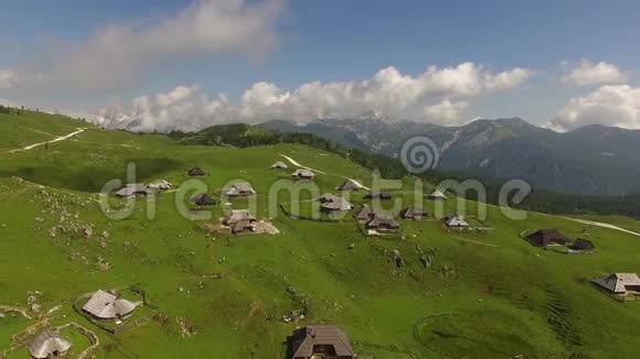 空中美丽的青山村从上面在维利卡平原斯洛文尼亚夏季视频的预览图