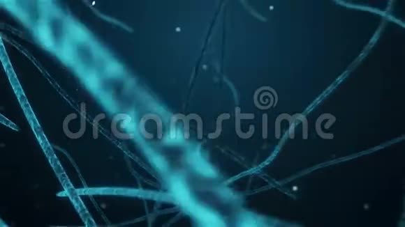 穿越人脑神经元的动画视频的预览图