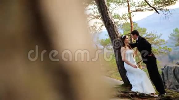 幸福的黑发新娘倚在一棵树上望着她在松林中英俊的新郎视频的预览图