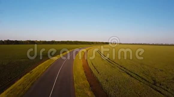 空中射击在夏天的傍晚在空旷的乡间小路上在黄绿的田野间飞翔视频的预览图