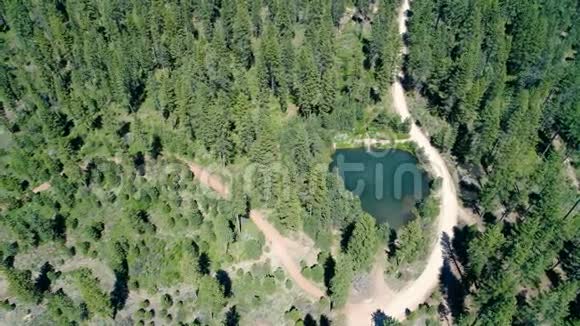 池塘被茂密的绿色森林包围着视频的预览图