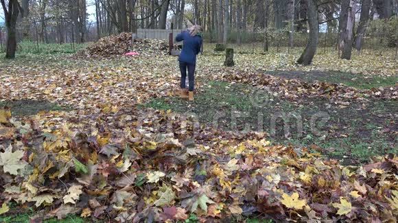 女人在秋天的后院耙和堆肥树叶4K视频的预览图