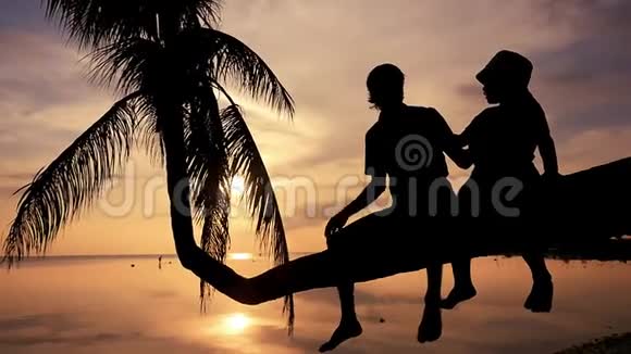 在令人惊叹的日落中年轻快乐的父亲和他的女儿坐在棕榈树上的剪影夏日快乐视频的预览图