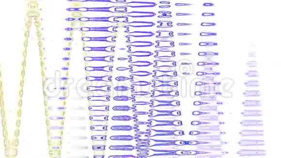 白色背景上的彩色抽象背景蓝黄紫视频的预览图